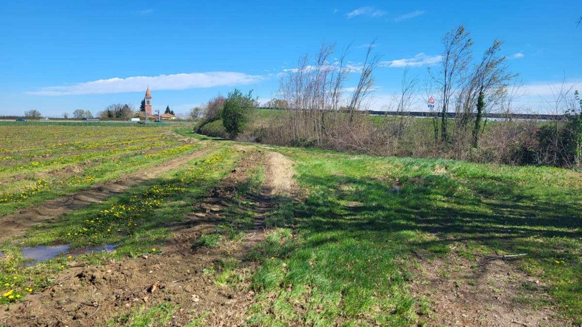 Nuovo casello A14: sopralluogo degli amministratori di Castel Bolognese e Solarolo