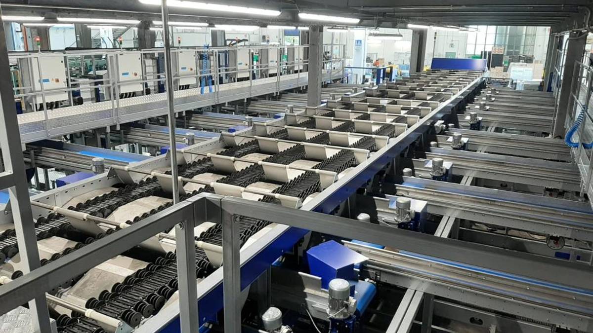 Agrintesa, investimenti per 6 milioni a Bagnacavallo, Faenza e Gambettola