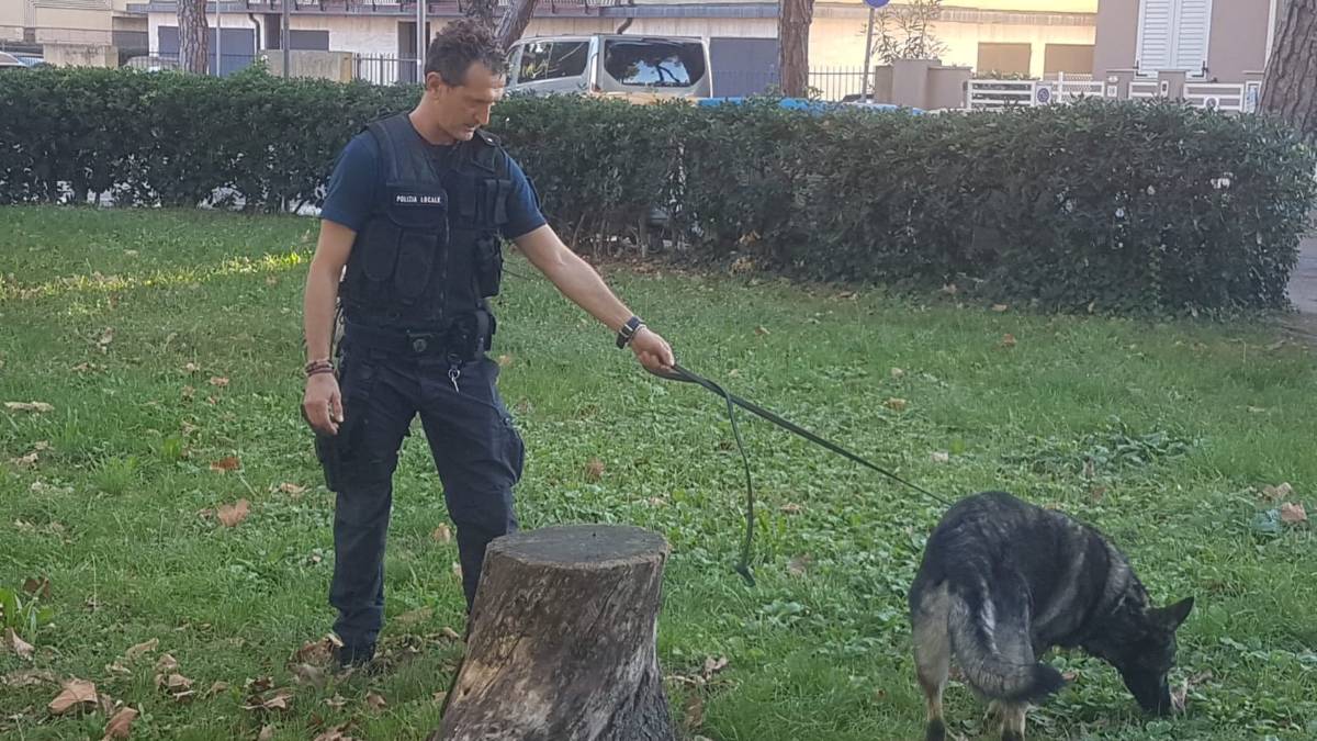 Iago e Bruce, servizio antidroga fuori dalle scuole di Rimini