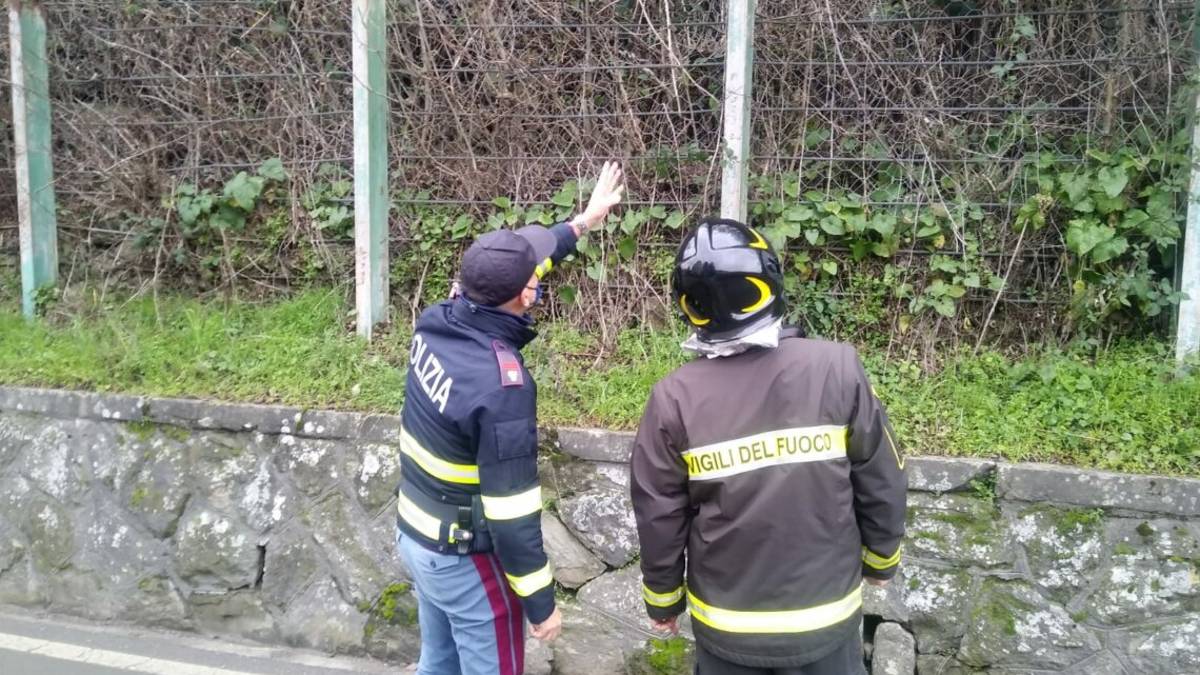Rocca San Casciano, rete ferma una piccola frana