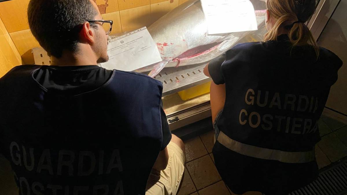 Riccione. Sequestrato tonno rosso da 100 chili, multa da 1.344 euro al pescatore