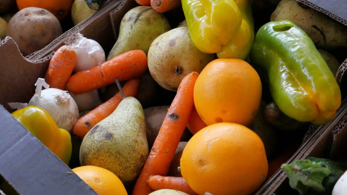 Giornata contro lo spreco, buttiamo ancora 27 chili di cibo a testa