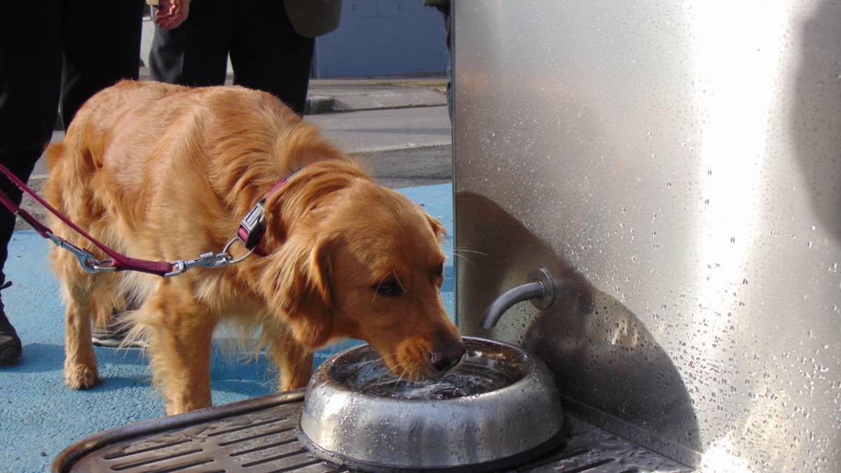Cesena, case dell'acqua interattive a Calisese e Ronta