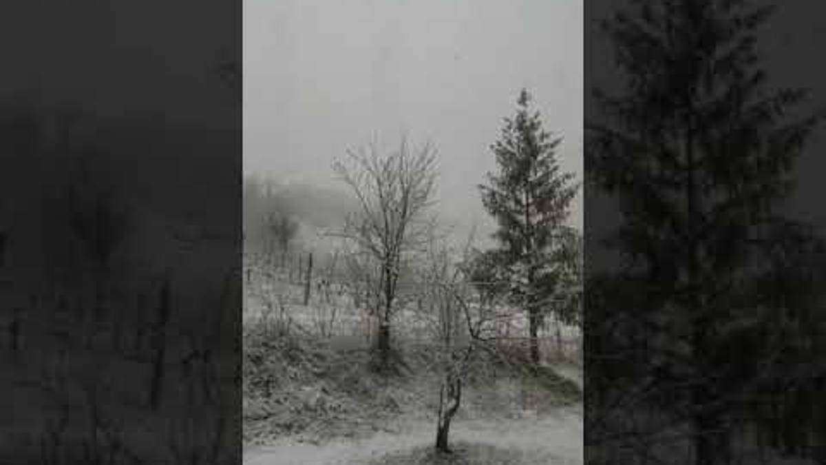 Grandine e danni a Cesena, neve in Valle Savio - VIDEO