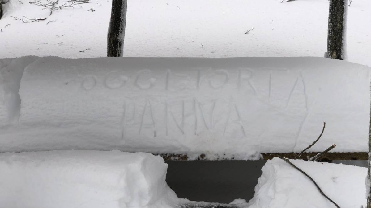 Fumaiolo coperto da un metro di neve e un bambino scrive: Oggi torta alla panna VIDEO