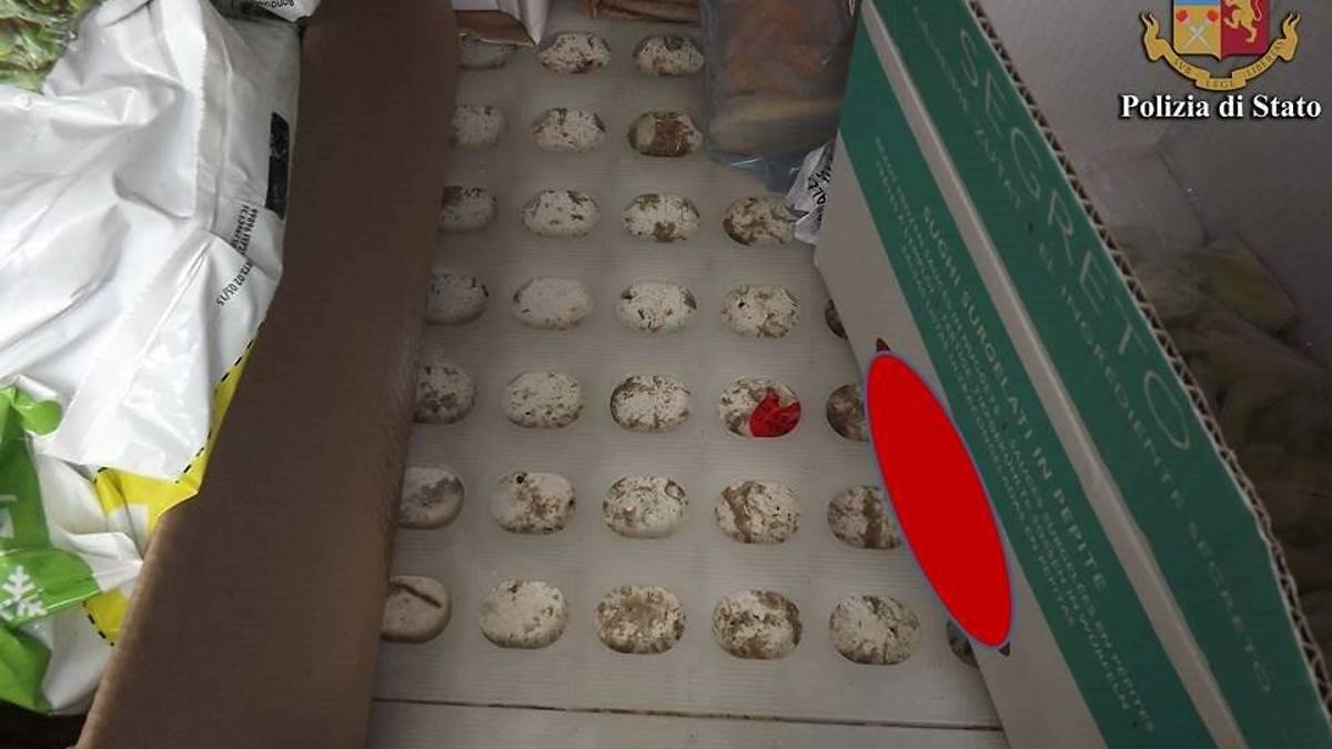 Forlì, surgelati trasportati nella sporcizia: camionista sanzionato