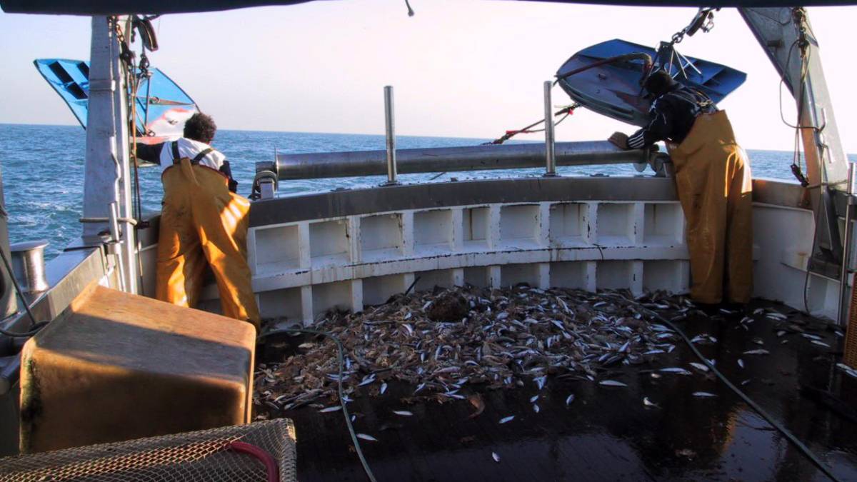 La pesca a strasciso