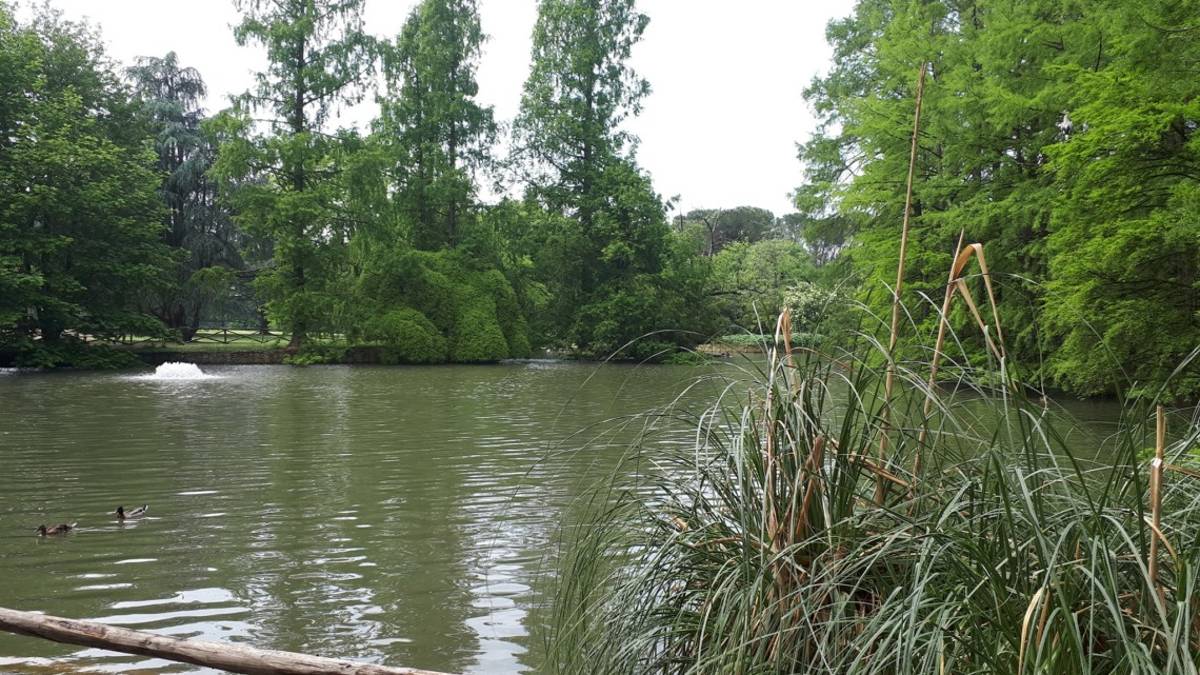 Faenza, parco Bucci: nuovi animali e tutela delle piante