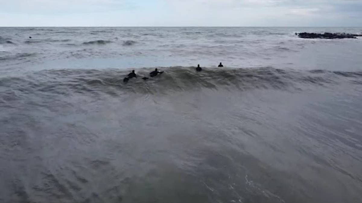 Che bello il surf d'inverno a Gatteo Mare