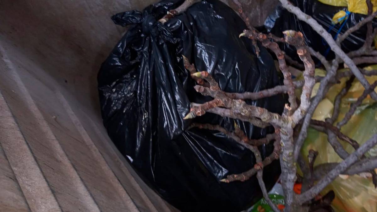 L’appello dei residenti a Borello di Cesena: “Servono foto trappole contro chi inquina”