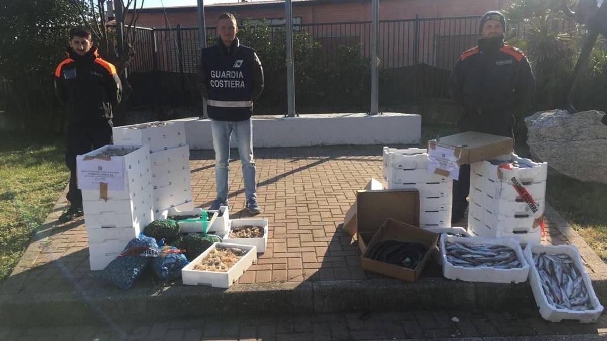 Cervia, hanno un contratto agricolo, ma fanno i marinai