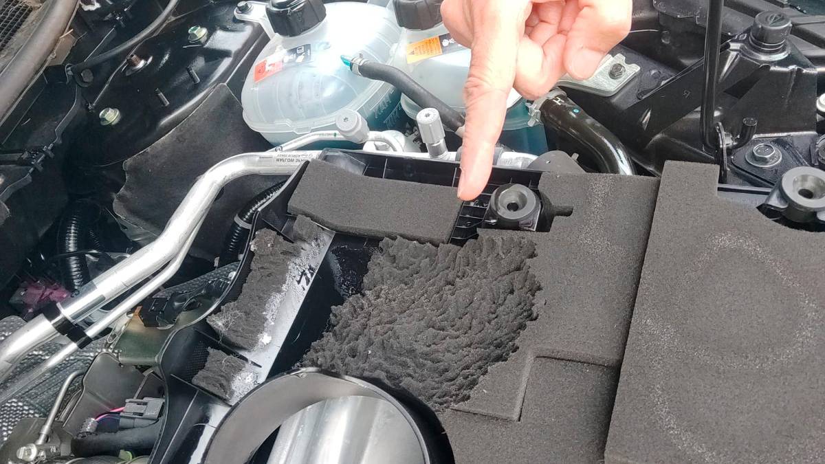 Ravenna, topi mettono su casa nel vano motore: auto danneggiate