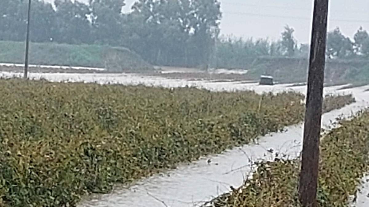 La rottura dell’argine a Chiusaccia tra Faenza e Cotignola
