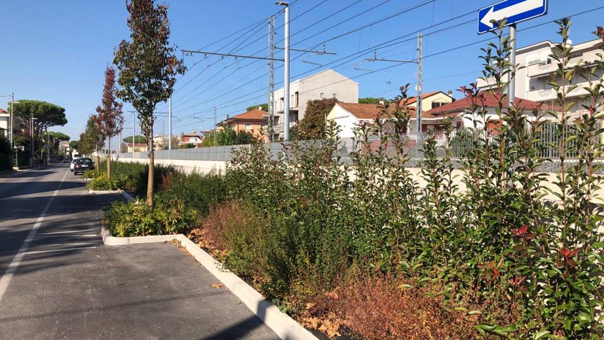 Una barriera verde a Riccione per mitigare l'impatto visivo del Trc