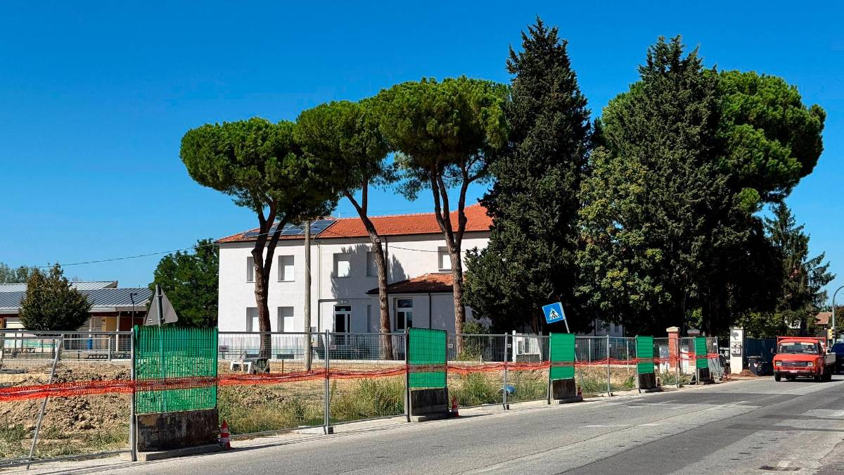 La zona dove è in programma l’intervento, con i grandi alberi nel mirino