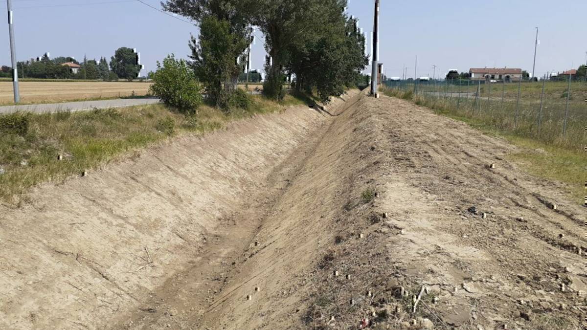 Forlì, lavori al Rio Bolzanino