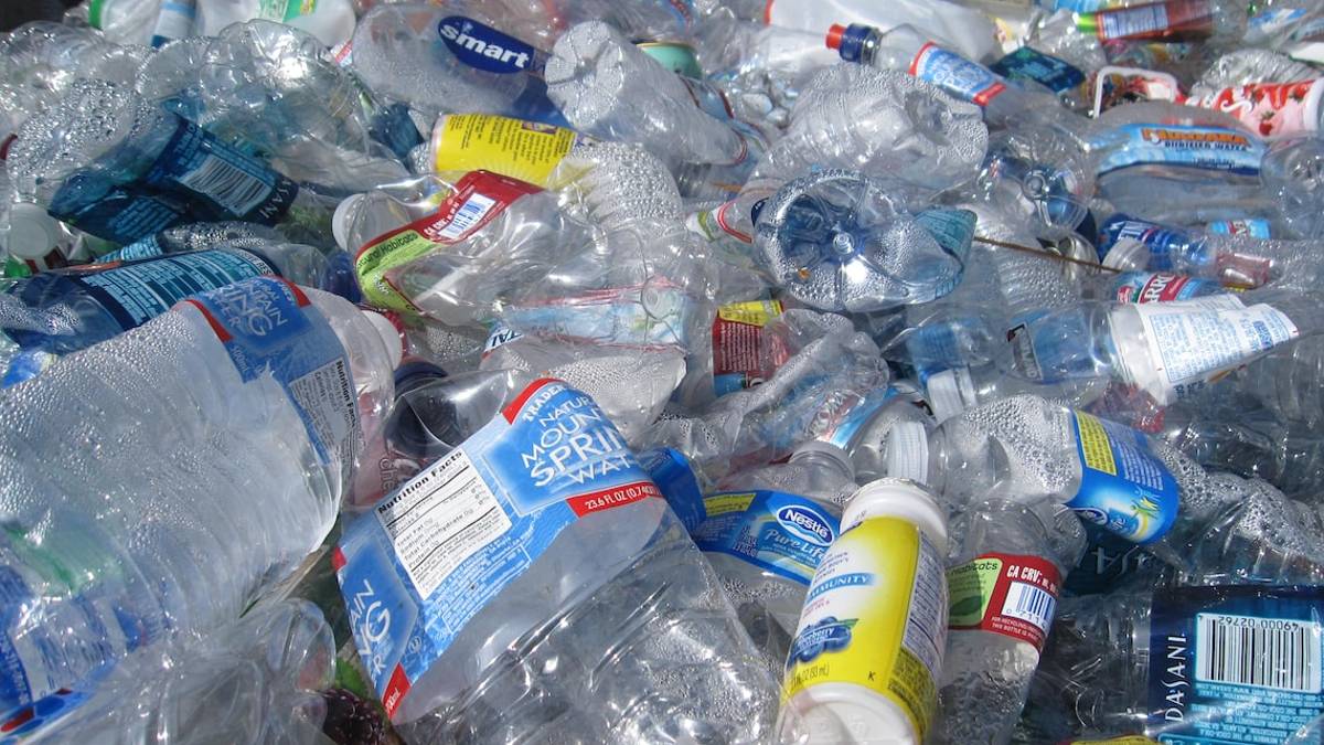 Rimini, erogatori d'acqua in scuole e palestre valgono 460mila bottiglie di plastica in meno in due anni