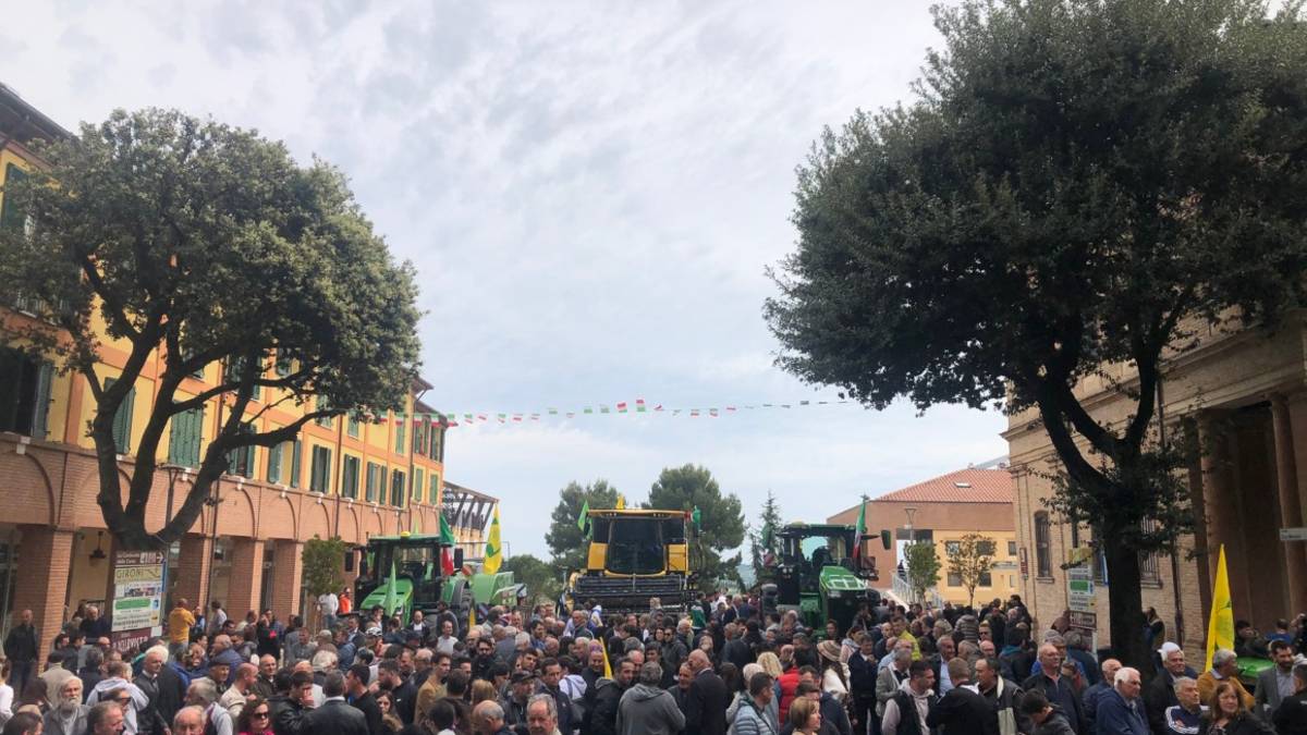 Coriano, alla festa cristiana del lavoro oltre 150 mezzi agricoli - Gallery