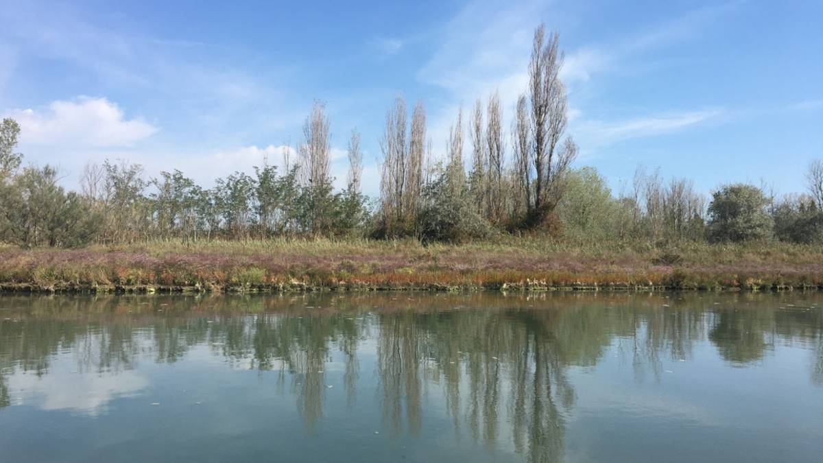 Ravenna, lavori per 580mila euro nelle zone naturali