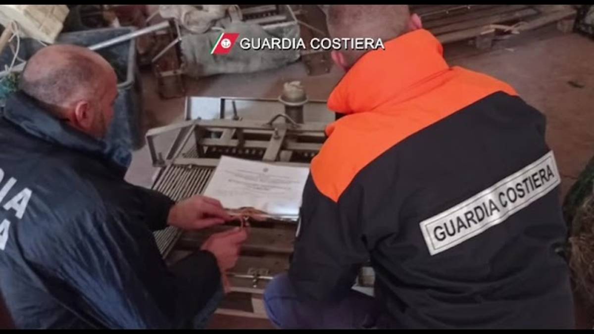 Ravenna, pesca abusiva: sequestrati 300 chili di vongole e lupini VIDEO