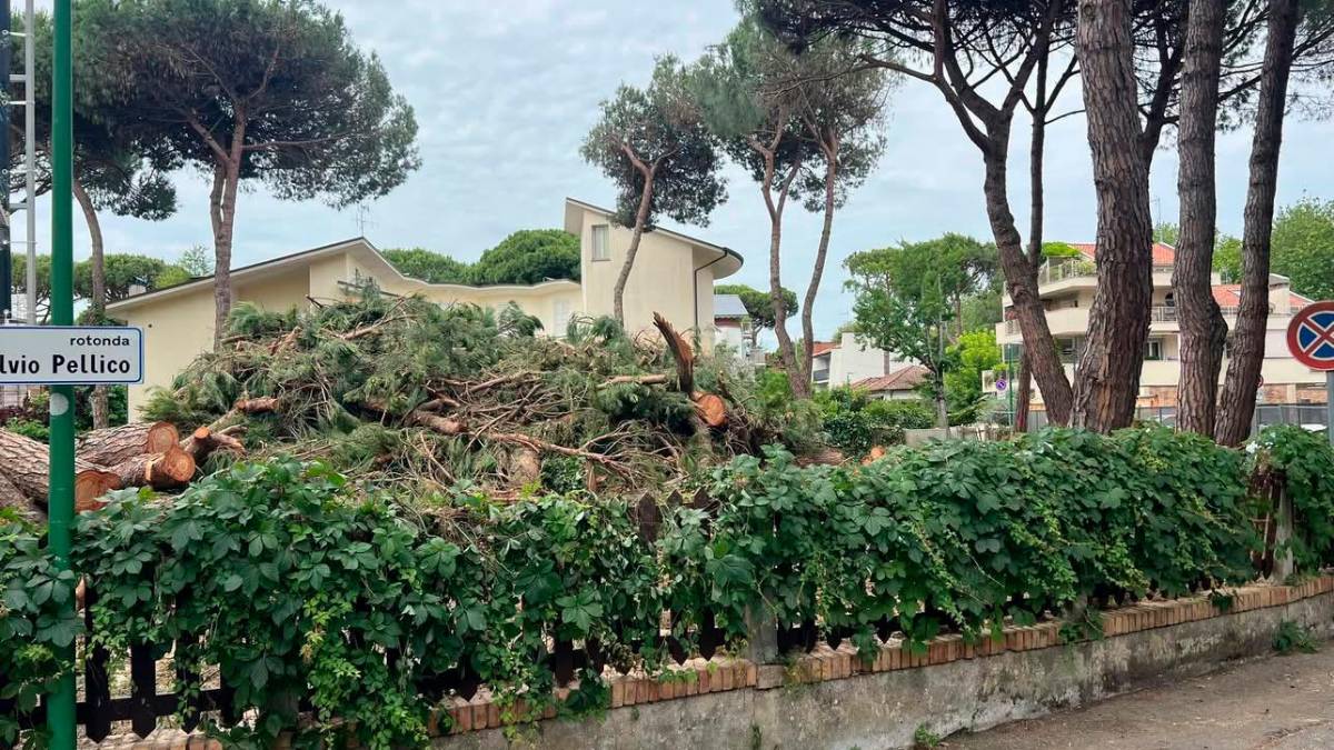 Cervia, abbattuti alberi per far posto a un condominio