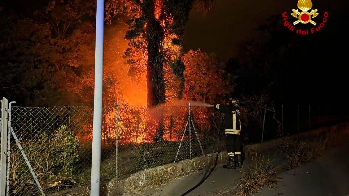 Forlì, un fulmine innesca un incendio nel parco: intervengono i Vigili del Fuoco