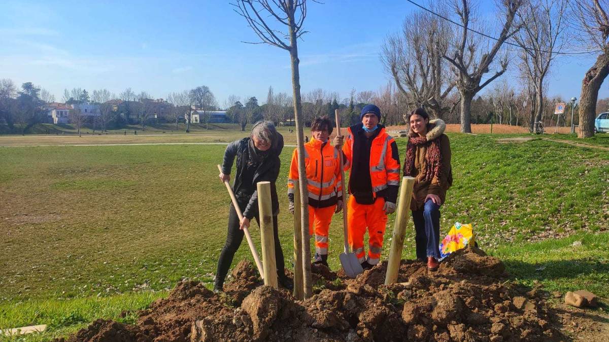Spegniamo le luci e aggiungiamo alberi: messa a dimora un tiglio al Parco Marecchia /GALLERY