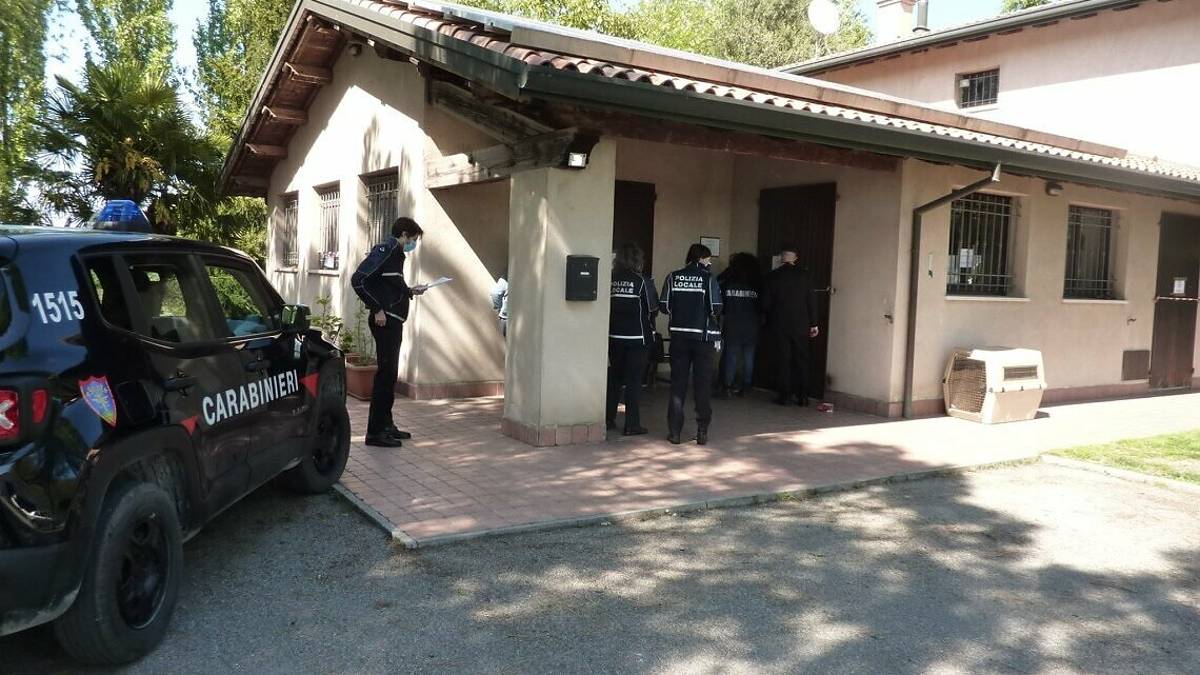 Ravenna, dissequestrato l'ambulatorio del veterinario di Sant'Antonio