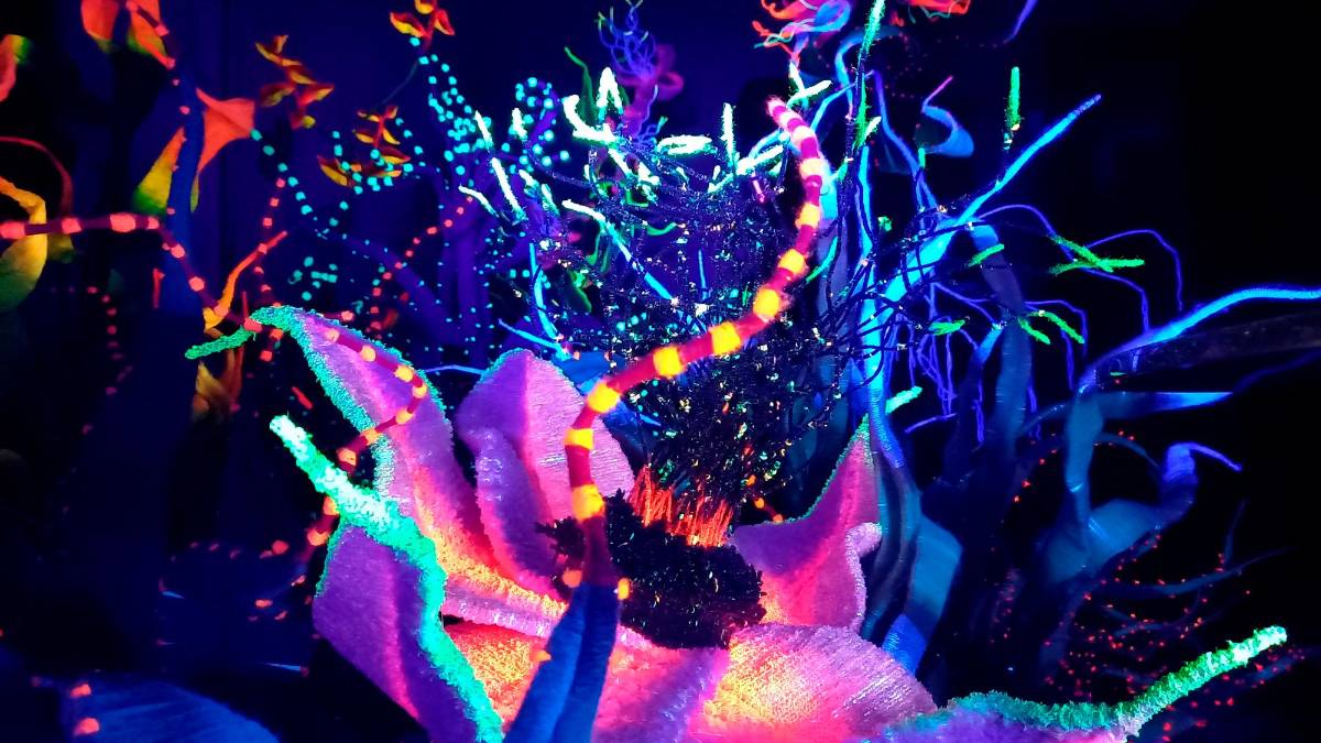 A Forlì “Vernice art fair”: l’arte tra gioco, ironia e riflessione