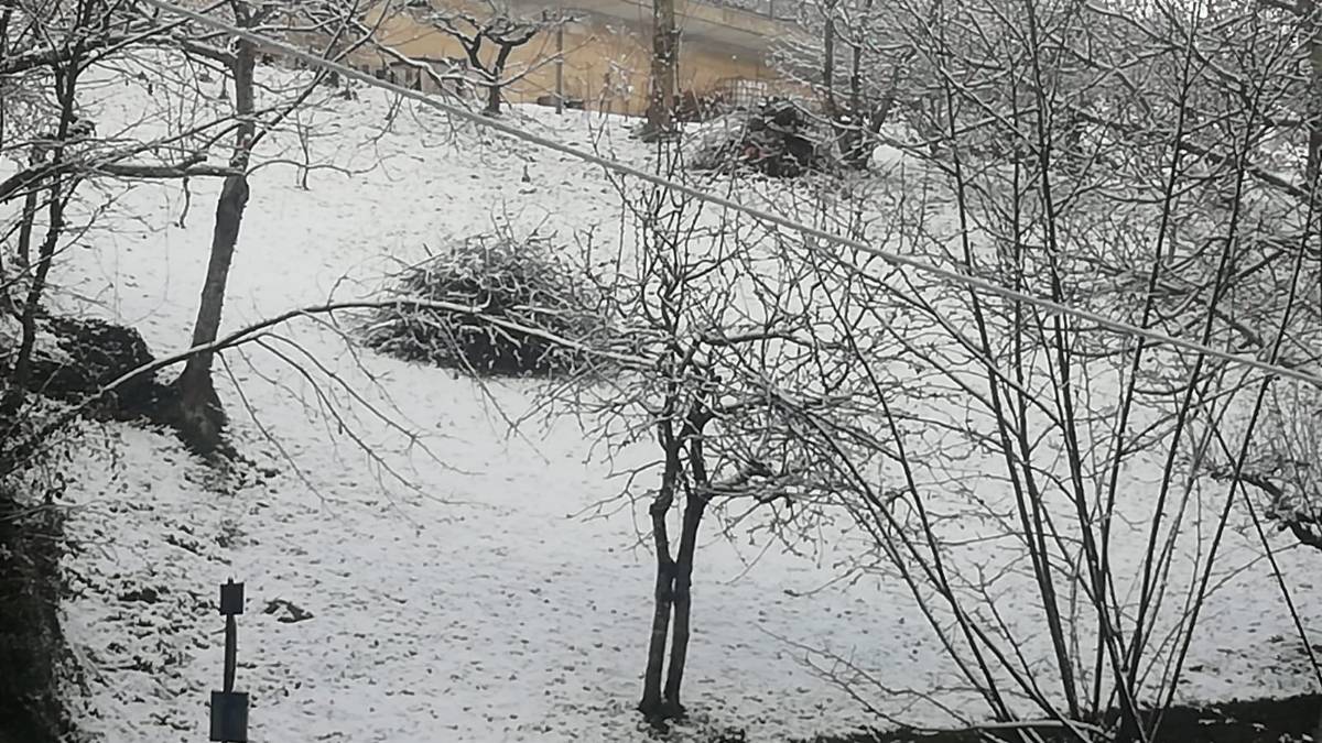 Alberi e lamiere cadute, allagamenti a Cesenatico, neve in Valle Savio