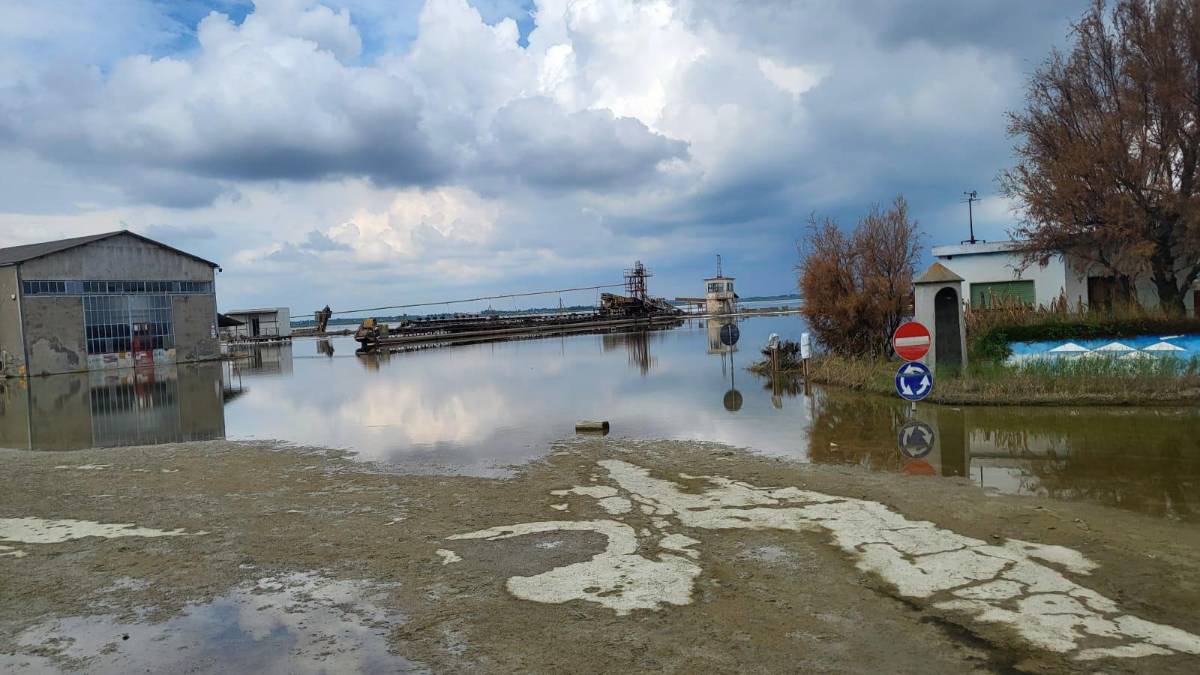 Si allargano le aree golenali del fiume Savio per rendere più sicure Cervia e Ravenna