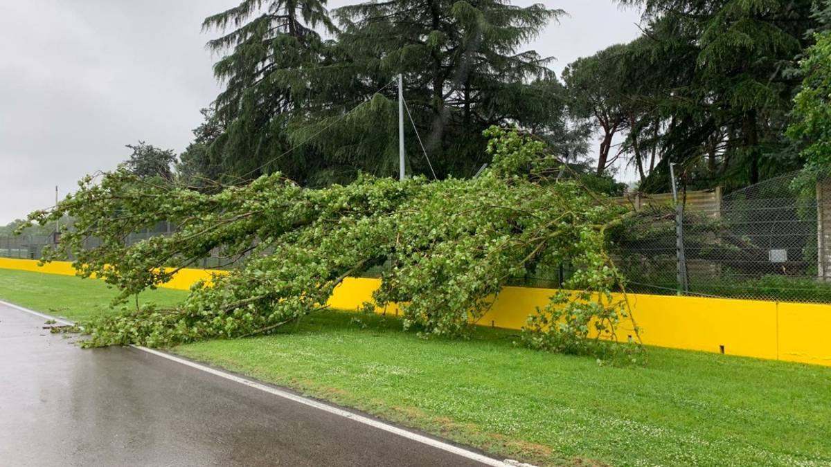 Imola, cade un albero sul circuito