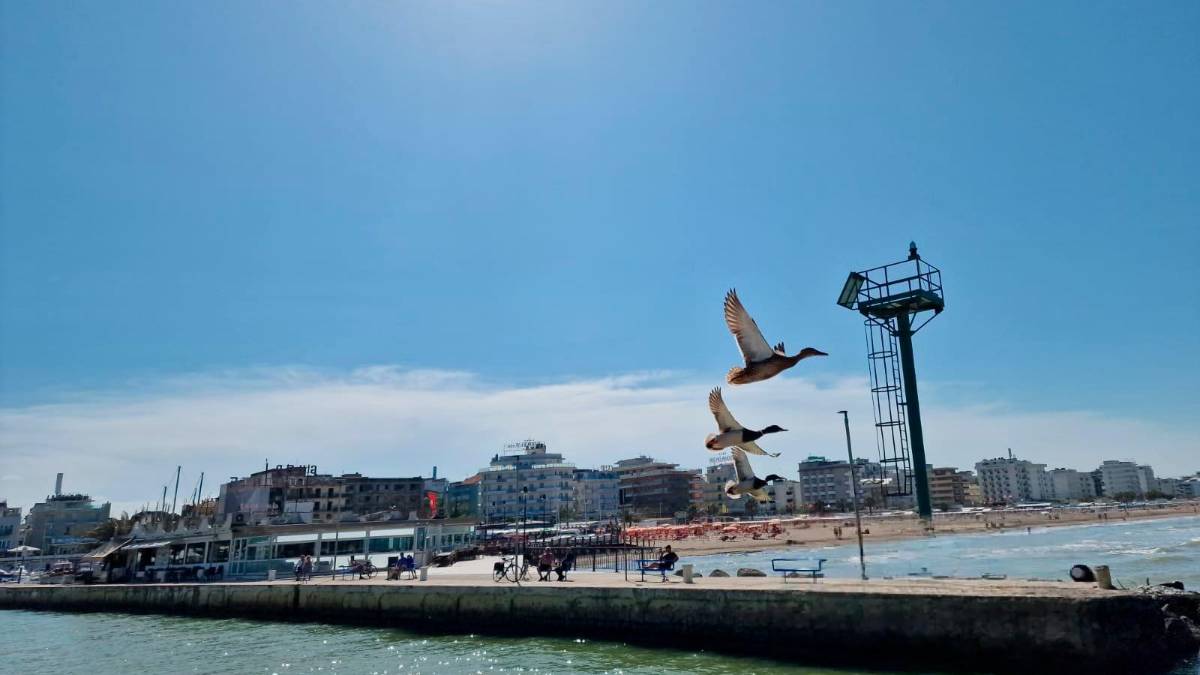 Riccione, dragaggio del porto canale: balneazione vietata per due giorni e mezzo