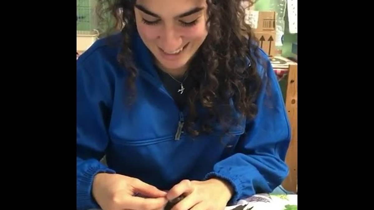 Rimini, come servizio civile Rachele nutre i rondoni del Cras VIDEO