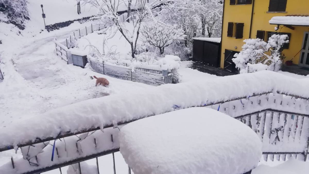 Meteo, è tornata la neve sulla valle del Savio e Campigna - Gallery