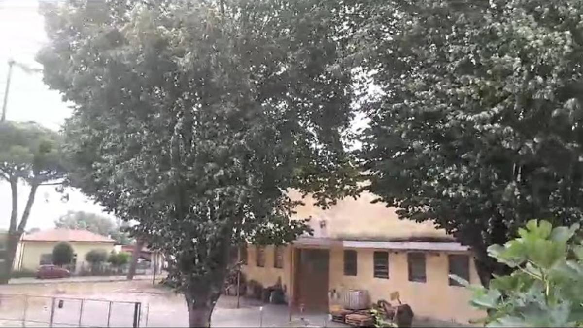 Vento a Ravenna, traffico in tilt e forese sud senza corrente. Il Comune: Non andate in parchi, pinete e cimiteri