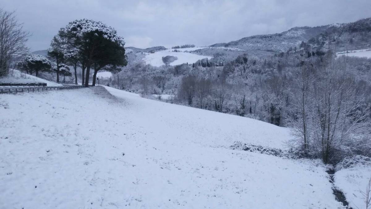 La neve imbianca il Forlivese