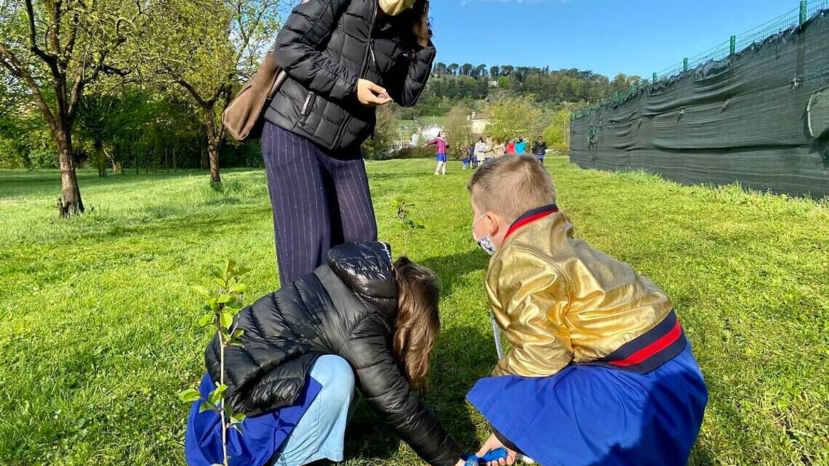Bosco di Quartiere: 90 alberelli al parco Cesuola di Cesena