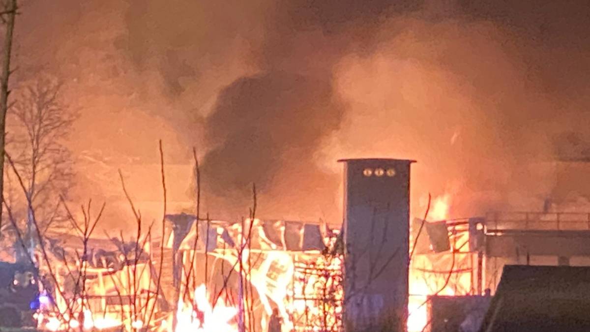 Incendio a Cesena: a fuoco la Campomaggi Caterina Lucchi - I VIDEO