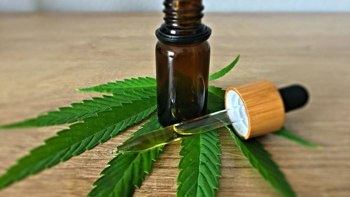 I benefici del CBD, il principio della cannabis
