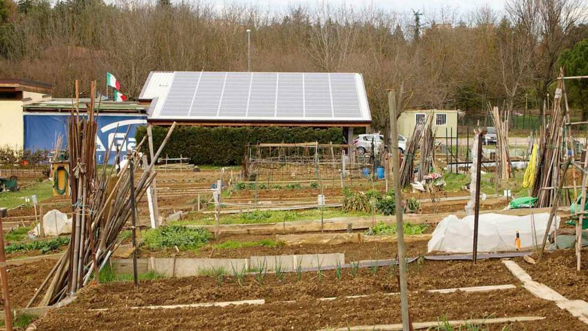 Ordinanza della Regione, a Imola riaprono gli orti comunali