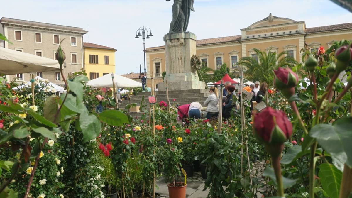 Santarcangelo, Balconi fioriti 2023: il programma