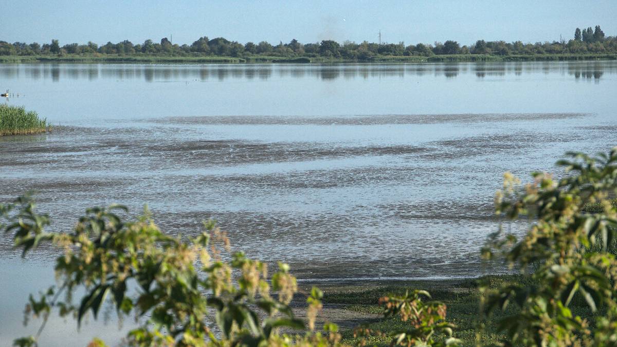 Ravenna, sono iniziate le operazioni di riallagamento della Valle della Canna