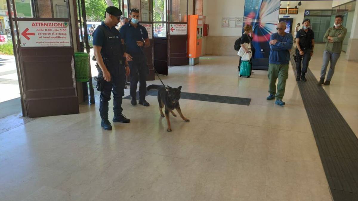 Rimini. Cani antidroga cercano spacciatori tra parchi e Metromare