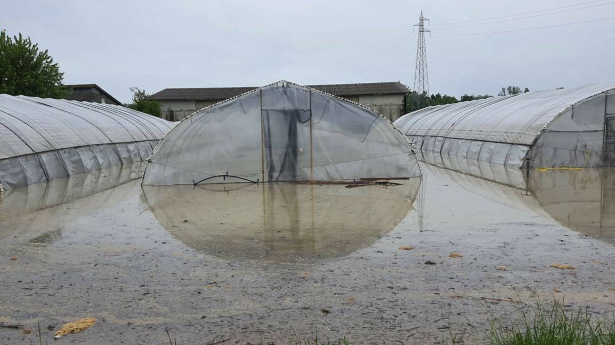 Dalla Massari di Conselice a Deco Industrie: il primo computo dei danni da alluvione è devastante