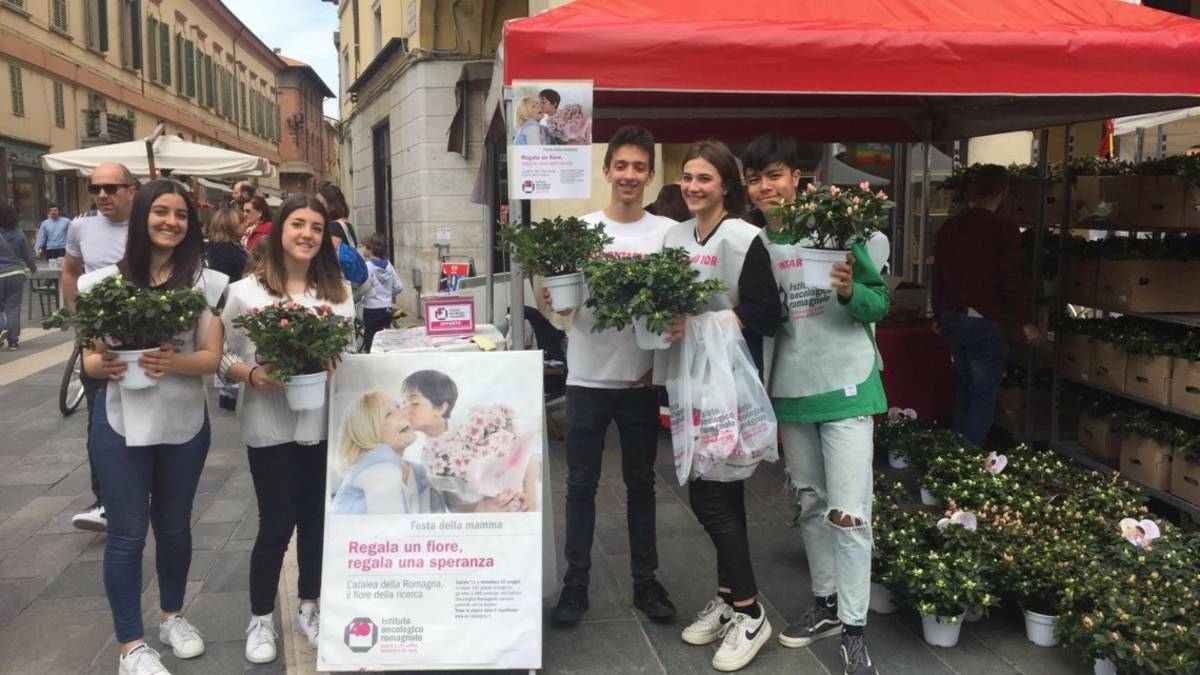 Festa della mamma: gli stand delle le azalee solidali Ior in provincia di Ravenna