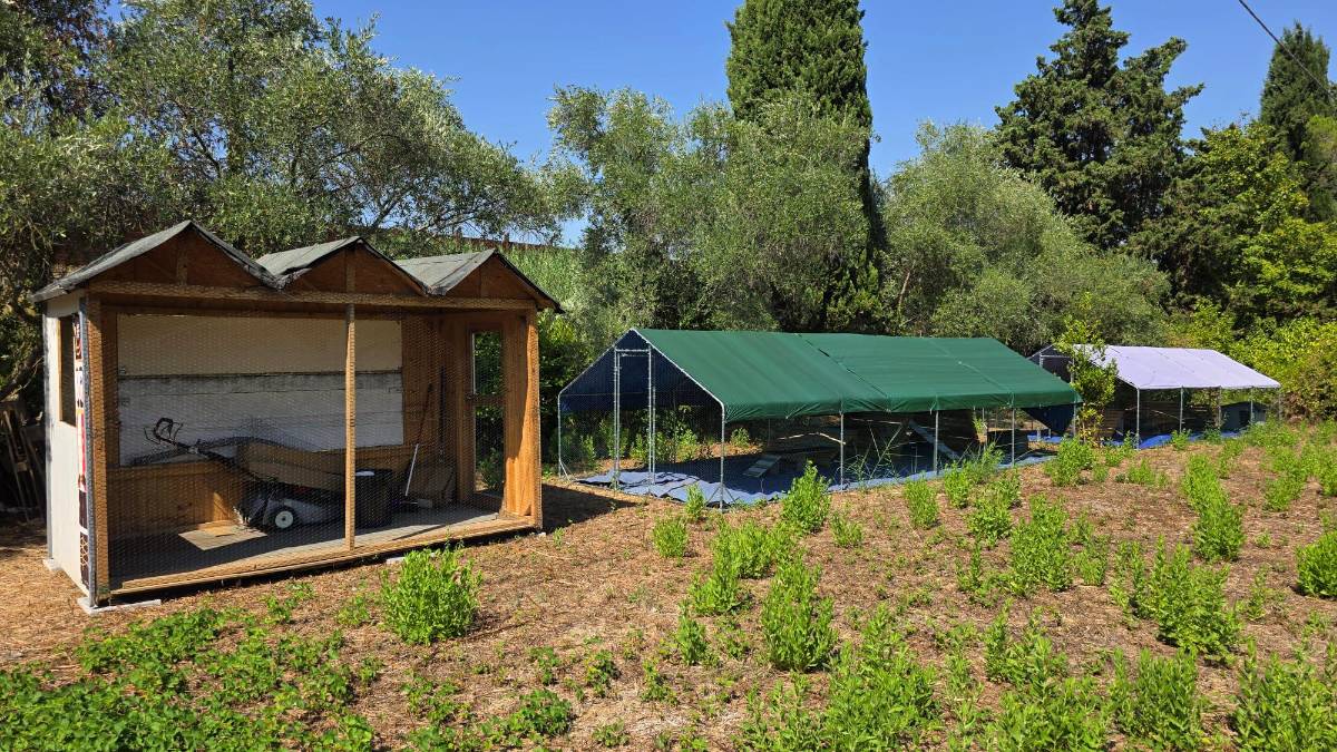 Rimini, pronta la nuova oasi felina di via Feleto per i gatti dall’ex Caserma
