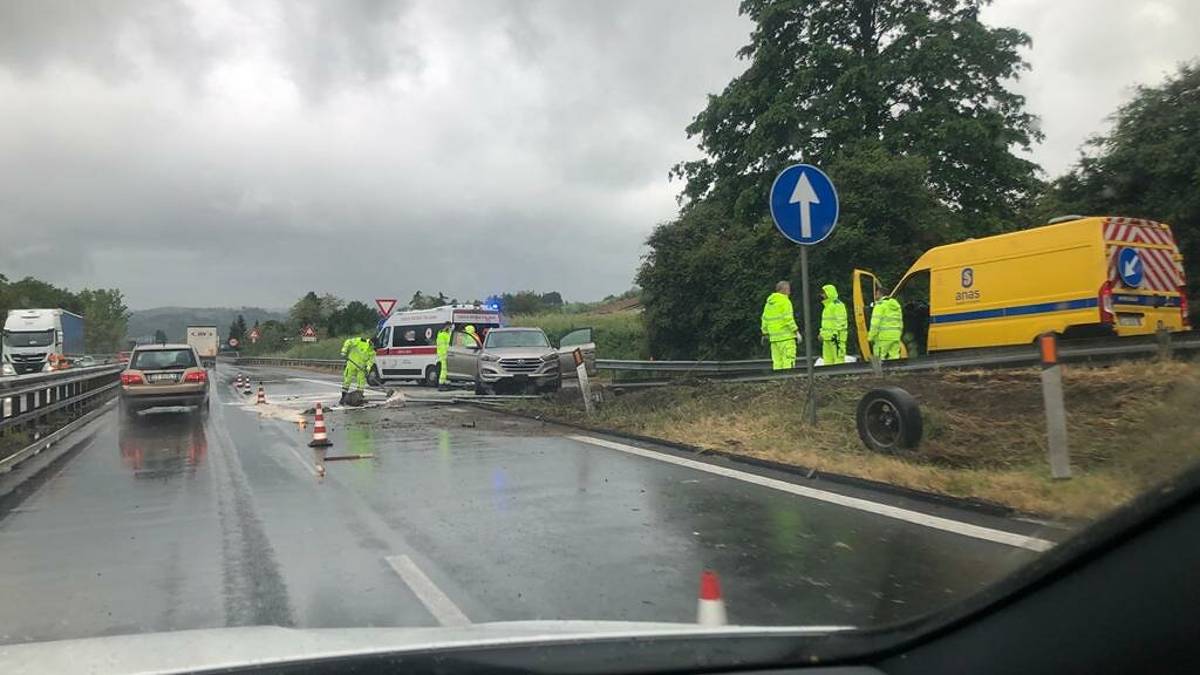 Cesena, un cinghiale sbuca sulla E45 e muore colpito da un'auto