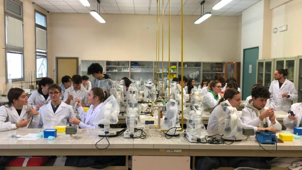 Cesena, indagini sul genoma umano al Liceo Scientifico Righi