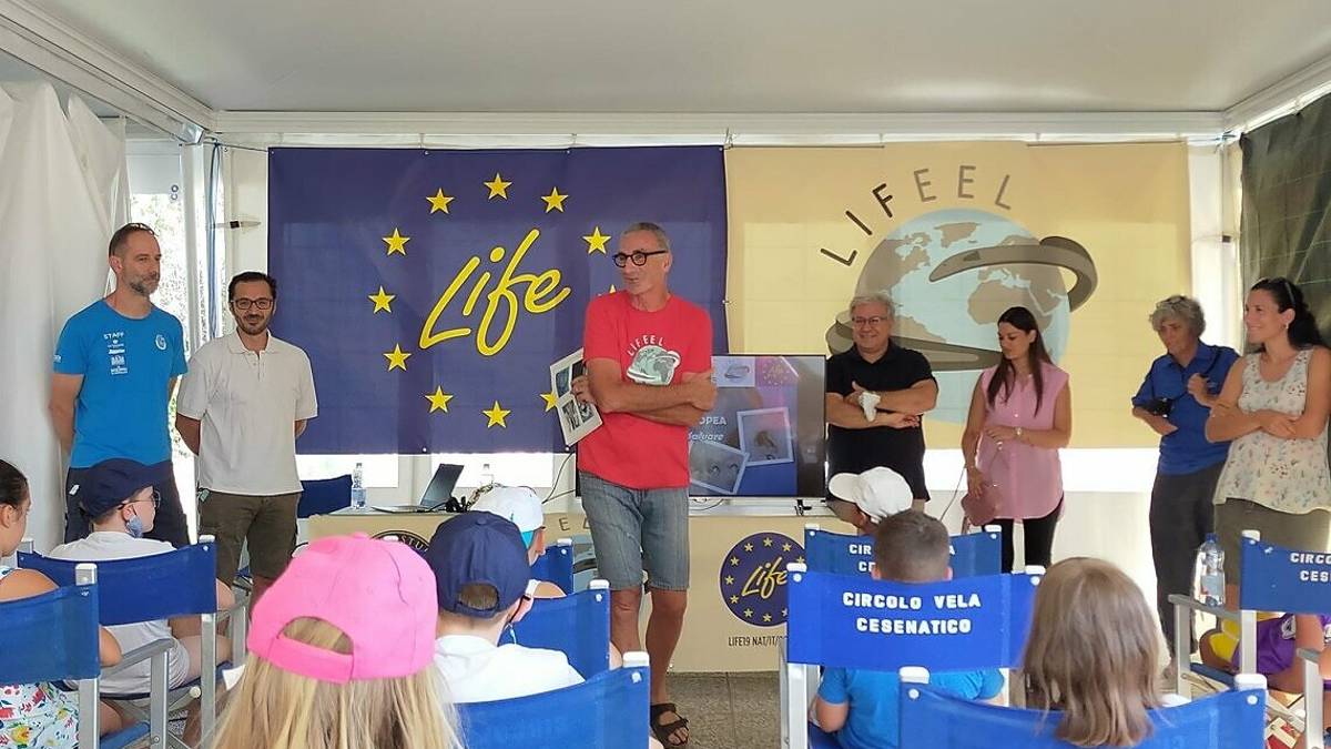 Migliaia di anguille liberate in mare a Cesenatico